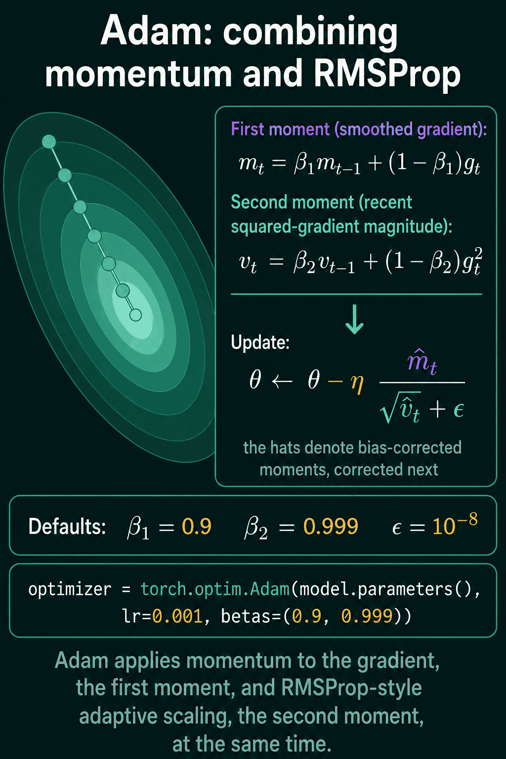 Adam keeps a smoothed gradient and a smoothed squared gradient, corrects both for their zero start, and divides one by the square root of the other.
