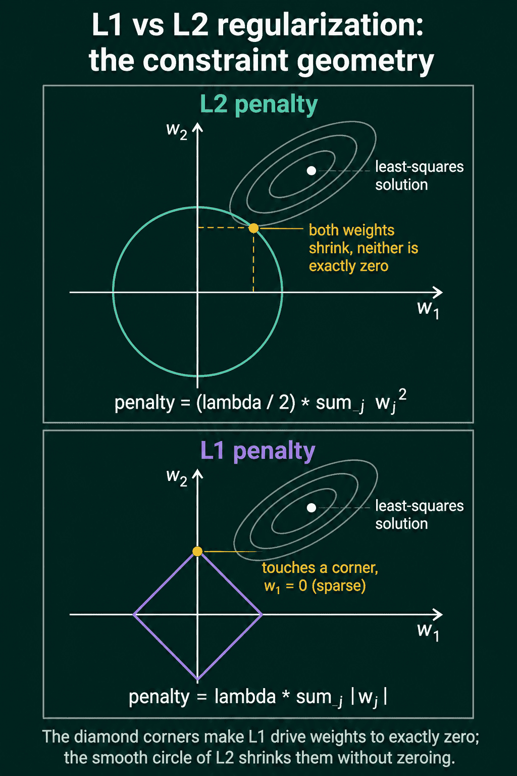 Two plots of weights w1 and w2. The L2 penalty allows weights inside a circle and the best allowed point has both weights small but non-zero. The L1 penalty allows weights inside a diamond and the best allowed point sits on a corner where w1 is exactly zero.