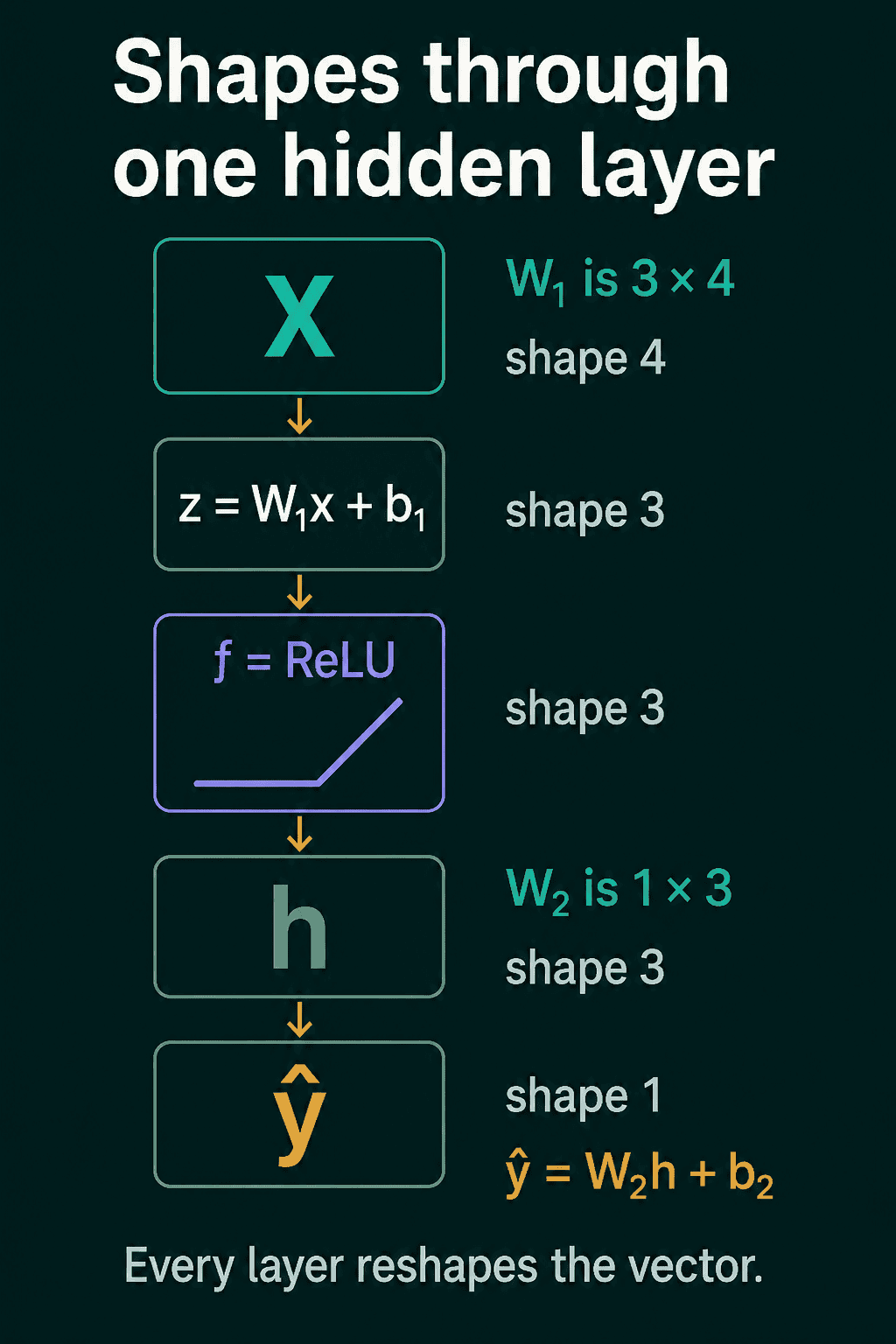The shapes through one hidden layer: an input x of length 4, multiplied by a 3 by 4 matrix W1 plus b1 to give z of length 3, ReLU keeping length 3 to give h, then a 1 by 3 matrix W2 plus b2 giving a single output y hat.